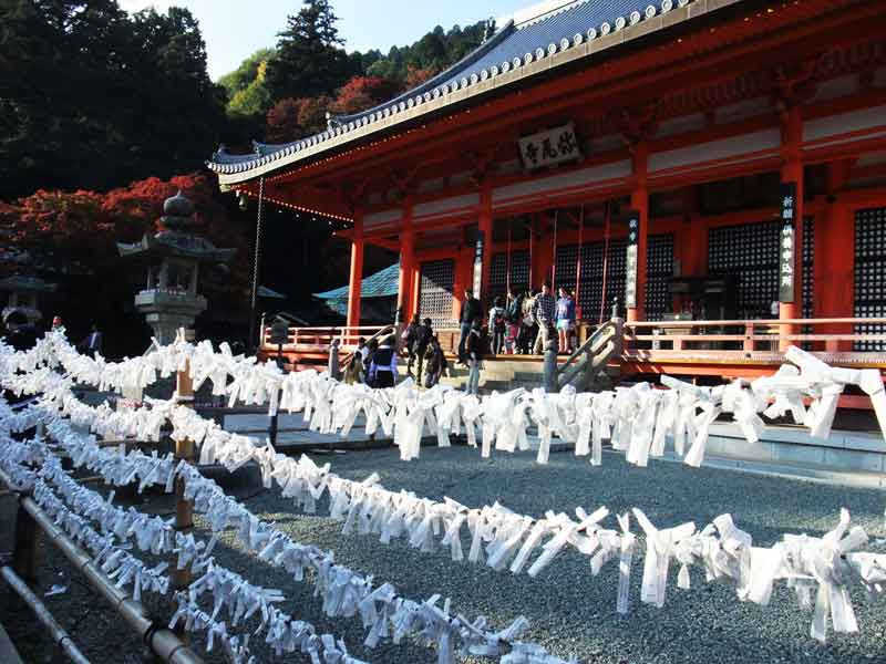 Japan Labor Thanksgiving Day